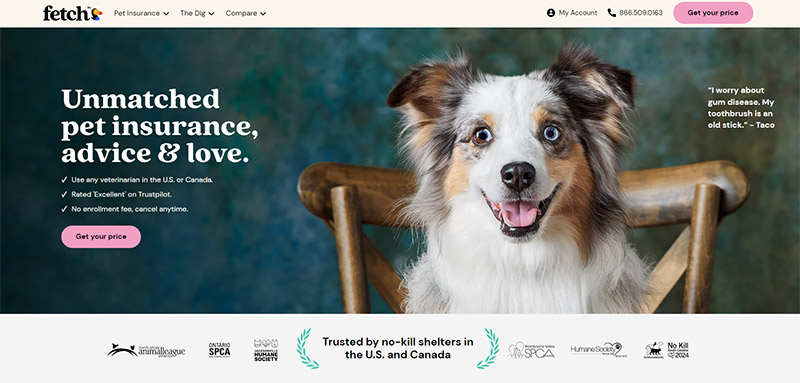 27 Insurance Website Designs for Design Inspiration