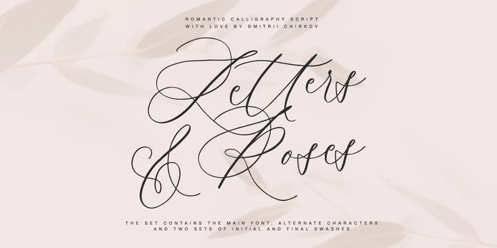 40+ Best Calligraphy Fonts for Designers - Vandelay Design