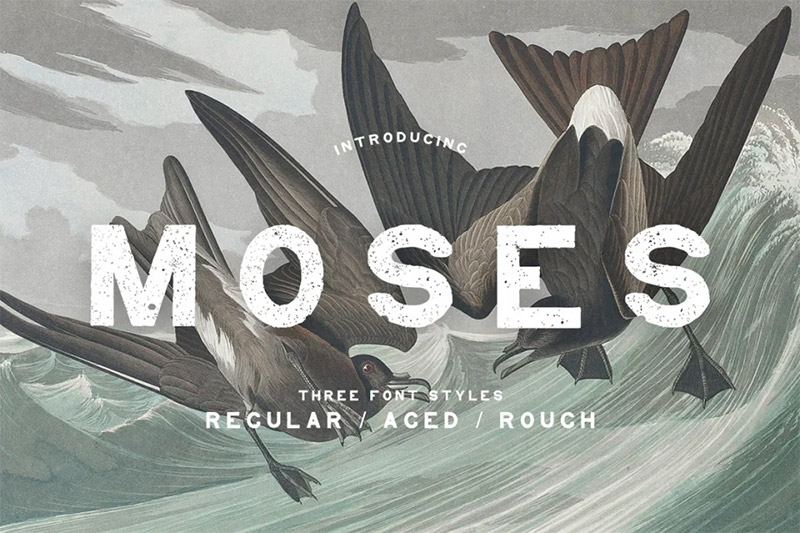 31 Best Ancient Fonts for Bygone Designs - Vandelay Design