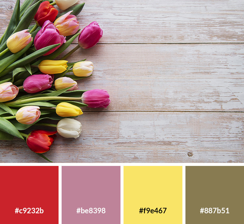 17 Spring Color Palettes for Your Designs
