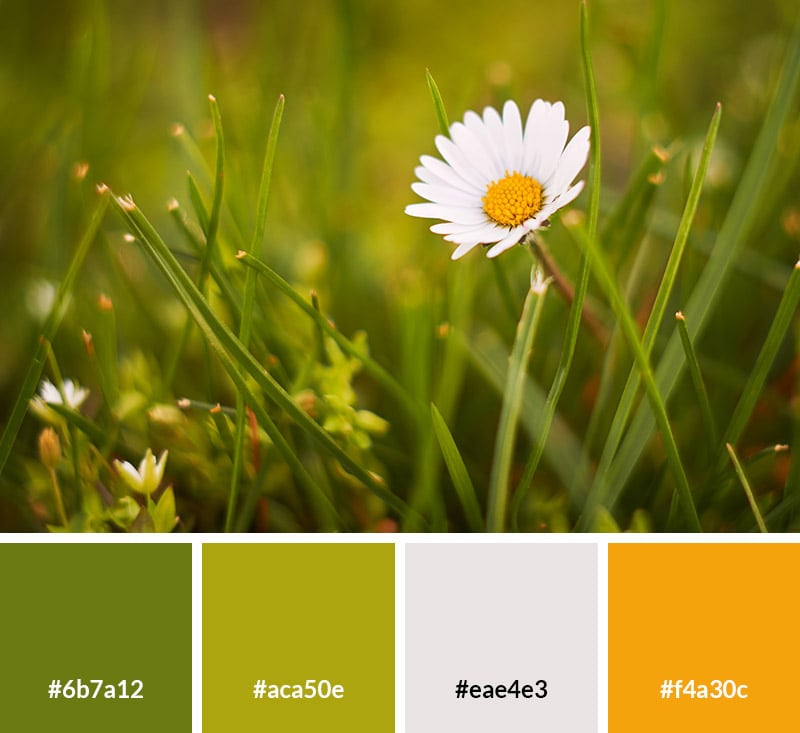 Spring White Color 17 Spring Color Palettes for Your Designs