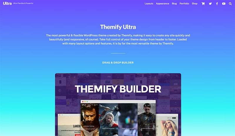20+ Multipurpose WordPress Themes for Any Type of Website