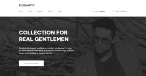 30+ Inspirational ECommerce Website Designs