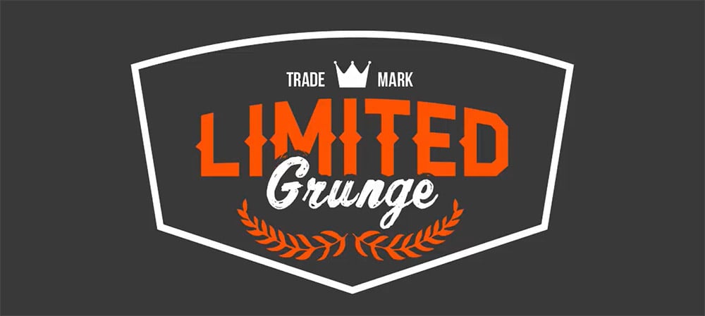 Professional Logo Design